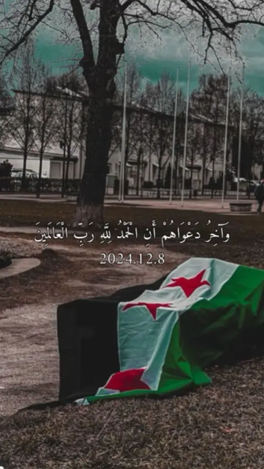 #سوريا🇸🇾 #سوريا#السعودية #سوري ❤️💚