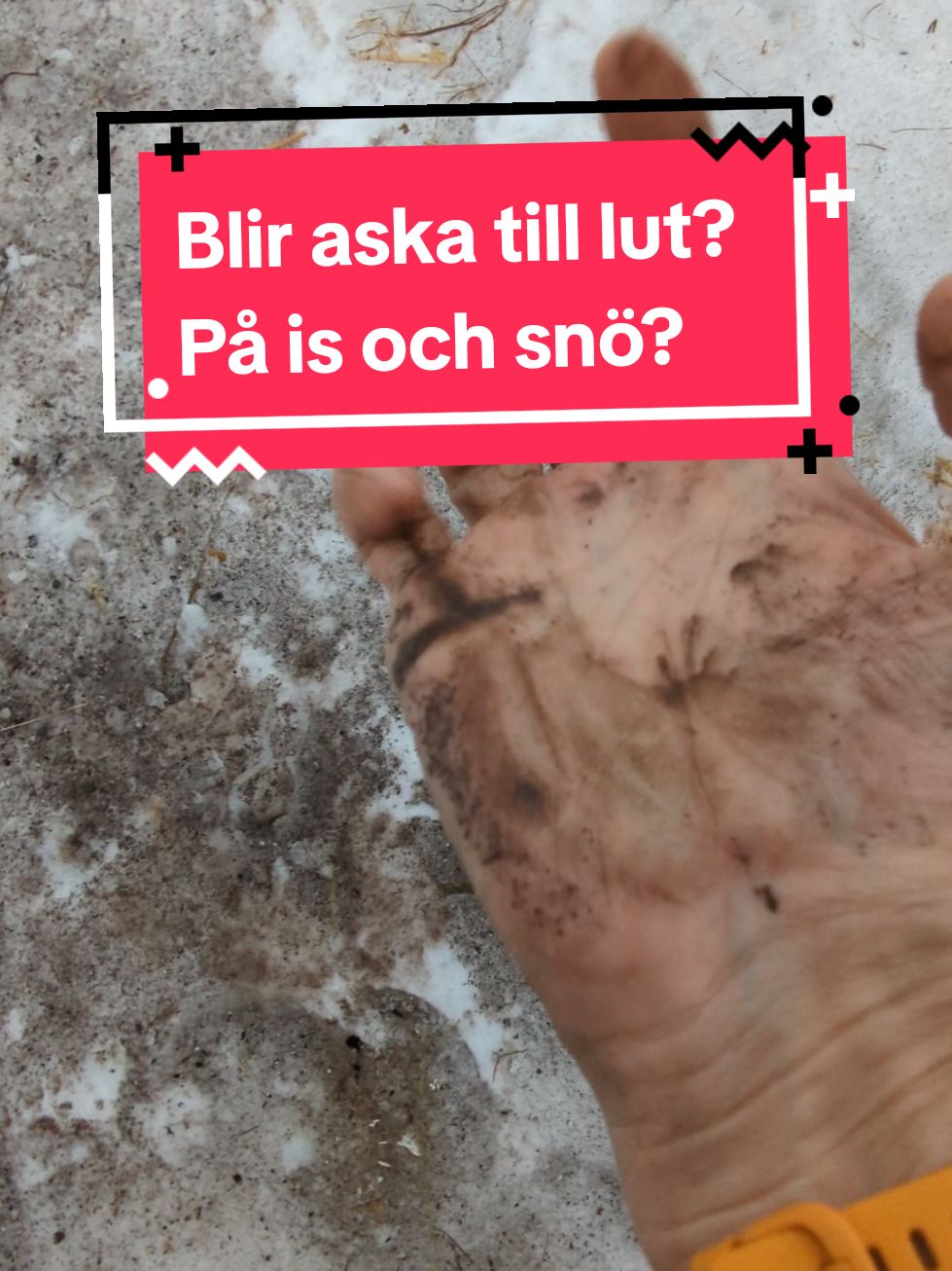 Bildas det lut när du sprider it aska på is och snö? Korta svaret: Nej!  Lut är starkt frätande.  Lut gör du genom att koka (björk)aska. Det är stora mängder vatten till lite aska och det behövs värme. Då får du lut. Den lilla vätskan som bildas av det som smälter räcker inte till för att det skall bli lut. Dessutom saknas det ju (bevisligen) värme. PS. Det går att skapa lut utan att koka lösningen. Du får röra flera gånger och det tar lång tid. Värmen snabbar upp processen. Som du ser @Årbyskog @viggenyberg  @rickardpettersson0 så är det ingen fara.   #aska #lut #intefrätande #lilltorp #småbruk #arbetsamtliv #homestead #gårdsliv 