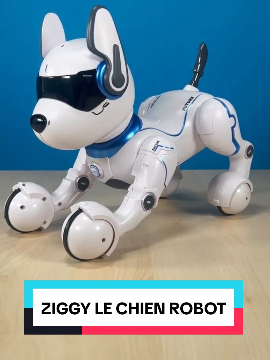 Adopte Ziggy notre chien robot et amuse-toi avec lui 🐶🎮🤩 Disponible dans tous les magasins Smyths Toys et sur SmythsToys.com avec la référence 188373 🥰 #chien #robot #robotdance #animatronic #rc #chientiktok #jouet #ideecadeau #ideecadeauxnoel #smythstoys 