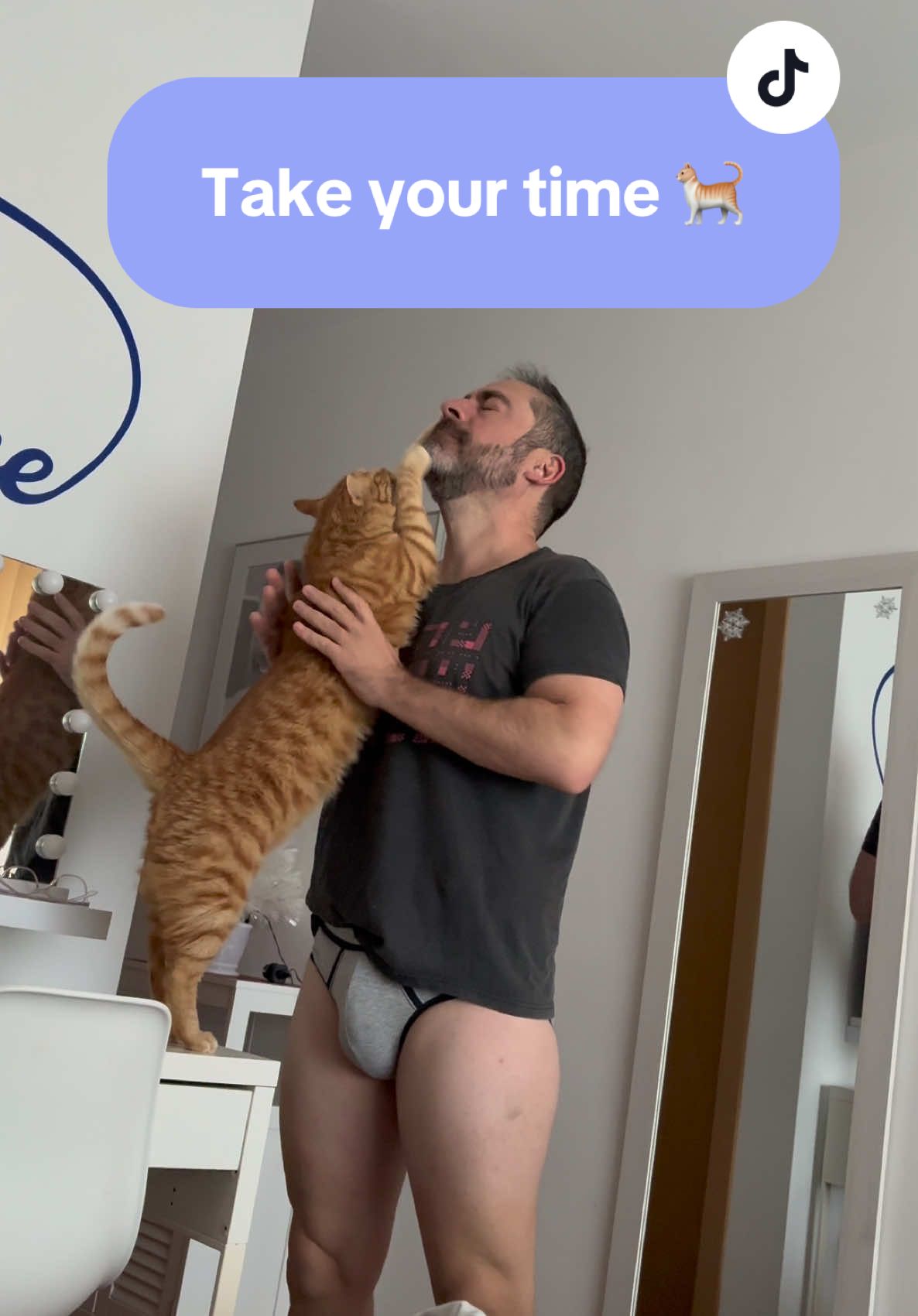 Un domingo muy chill con mi Wilson #gatowilson #boxer #intimissimi @Intimissimi #realnegan #negan #catsoftiktok #foryou #sensual 