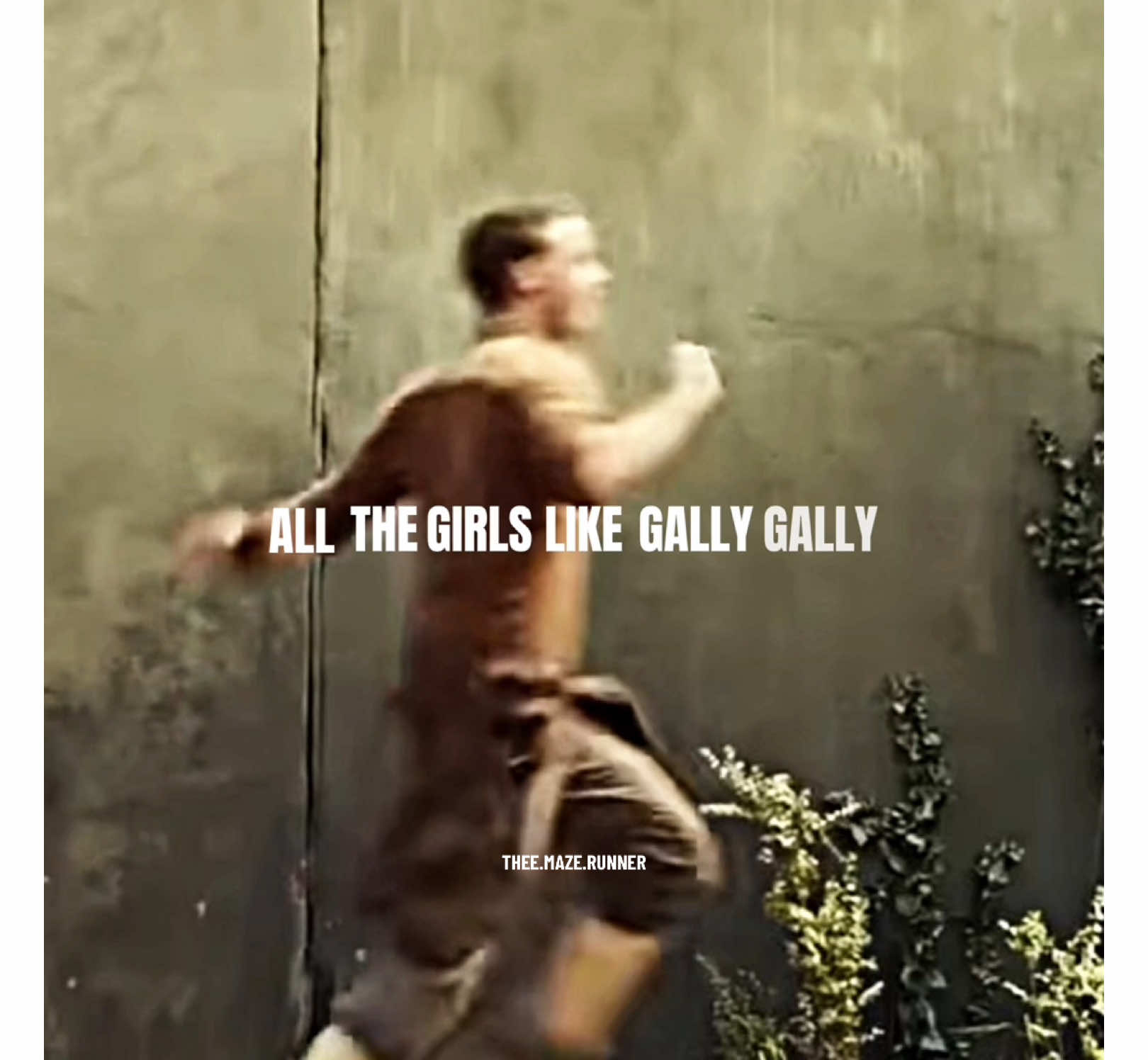 this is definetly the lyrics #gallymazerunner #gally #mazerunner #tmr #themazerunner #tmredit #viral #viraledit #fyp #foryou #foryourpage #xyzabc #blowthisupforme #gallytmr #gallyedit 