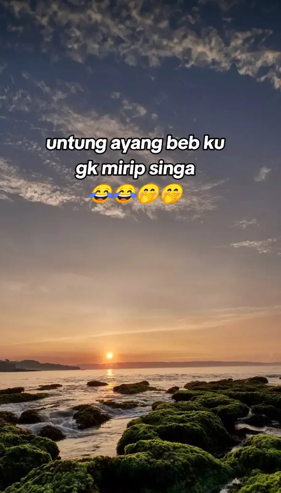 emang boleh se singa itu#😂😂😂 #🔥🔥🔥 #Love #you #bestfriend #besty❤️ #fypppppppppppppp #virall #fypシ゚viral🖤tiktok #hiburan 