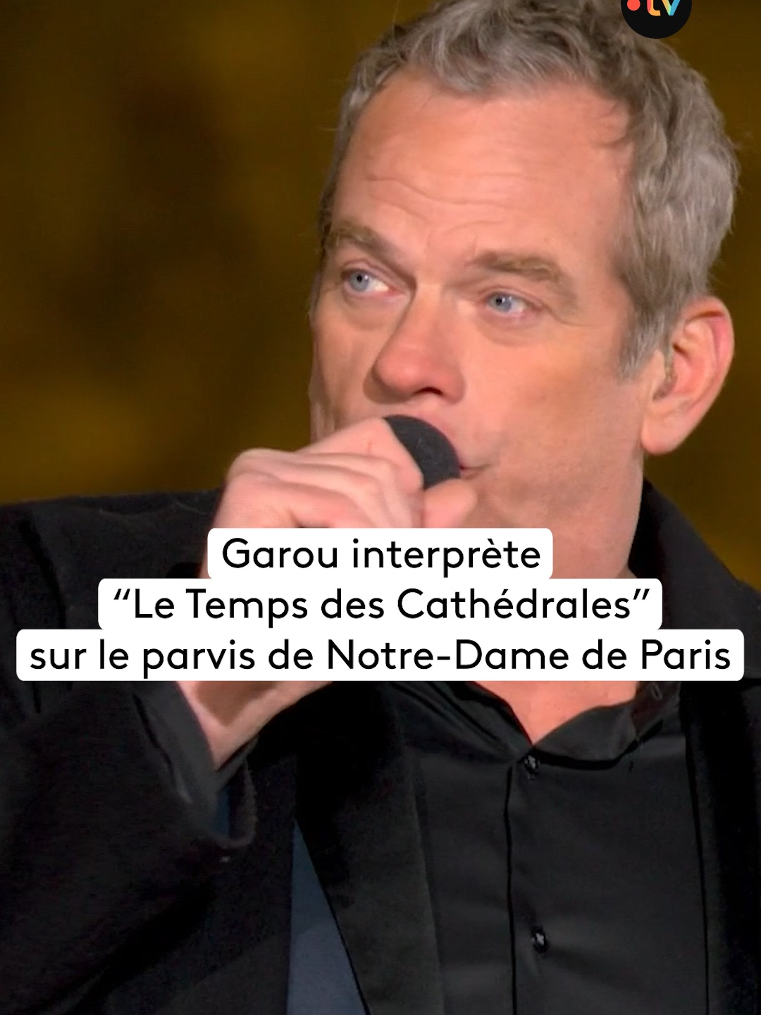 Garou interprète 