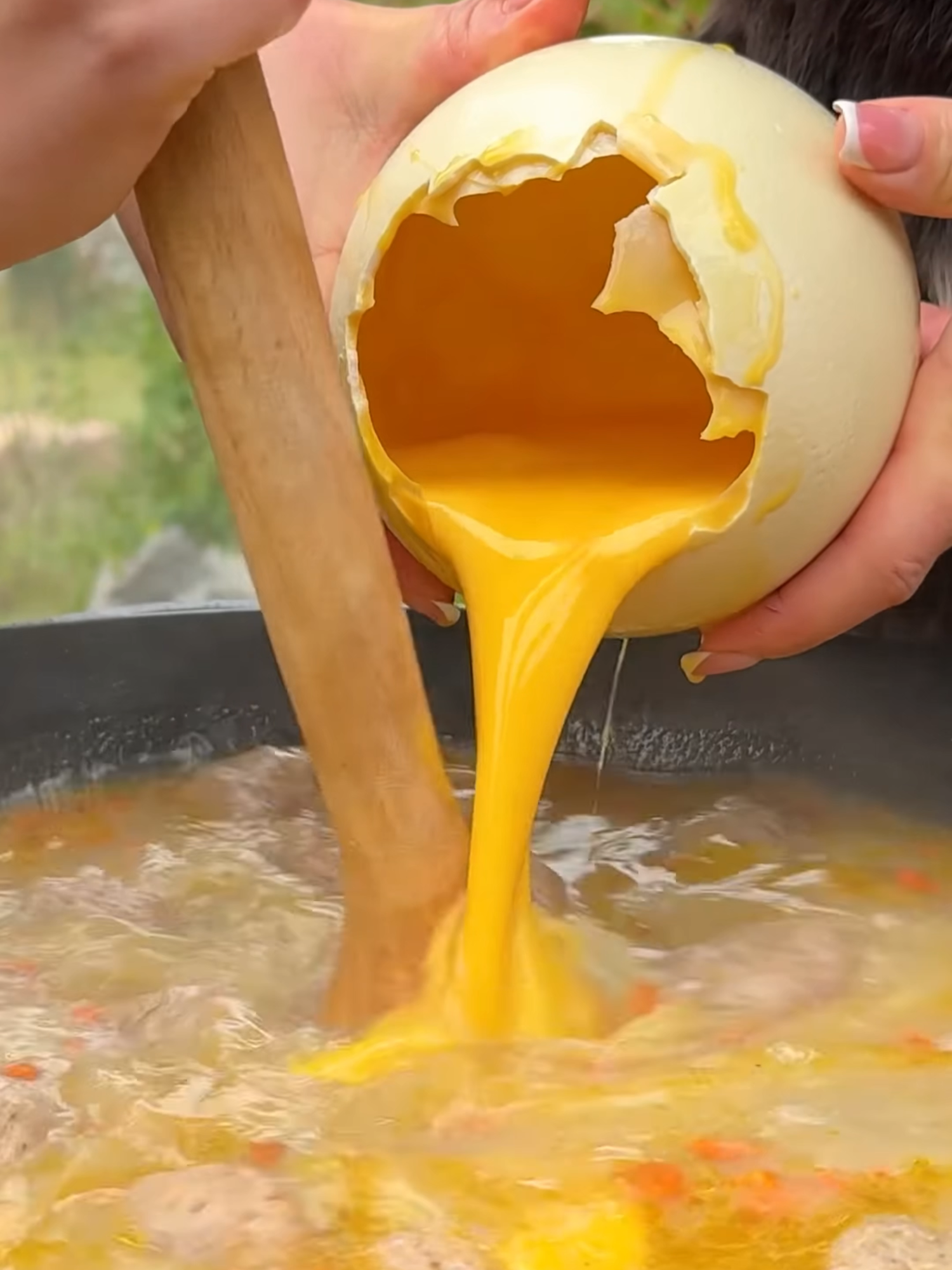 Giant Dragon Eggs! The Best Egg Soup for Winter#cooking #asmr #garden #food #egg #soup