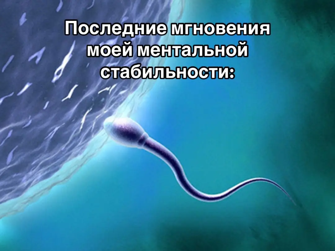 #биология #егэ 