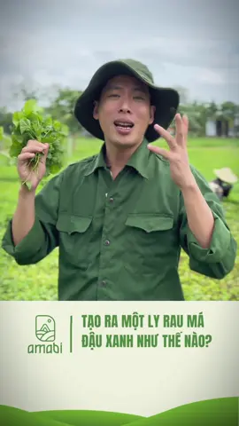 Để tạo ra một ly rau má đậu xanh như thế nào ? #raumadauxanh #rauma #healthy #organic #amabi #botraumadauxanh 
