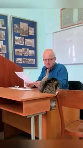 No class today We play with cat 😍😍#cat #catlover #student #schoollife #funnyvideos #foryou 