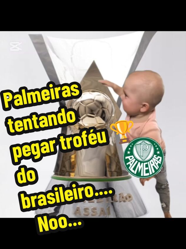 Palmeiras tentando pegar o troféu do brasileiro 2024 ...🤣🤣