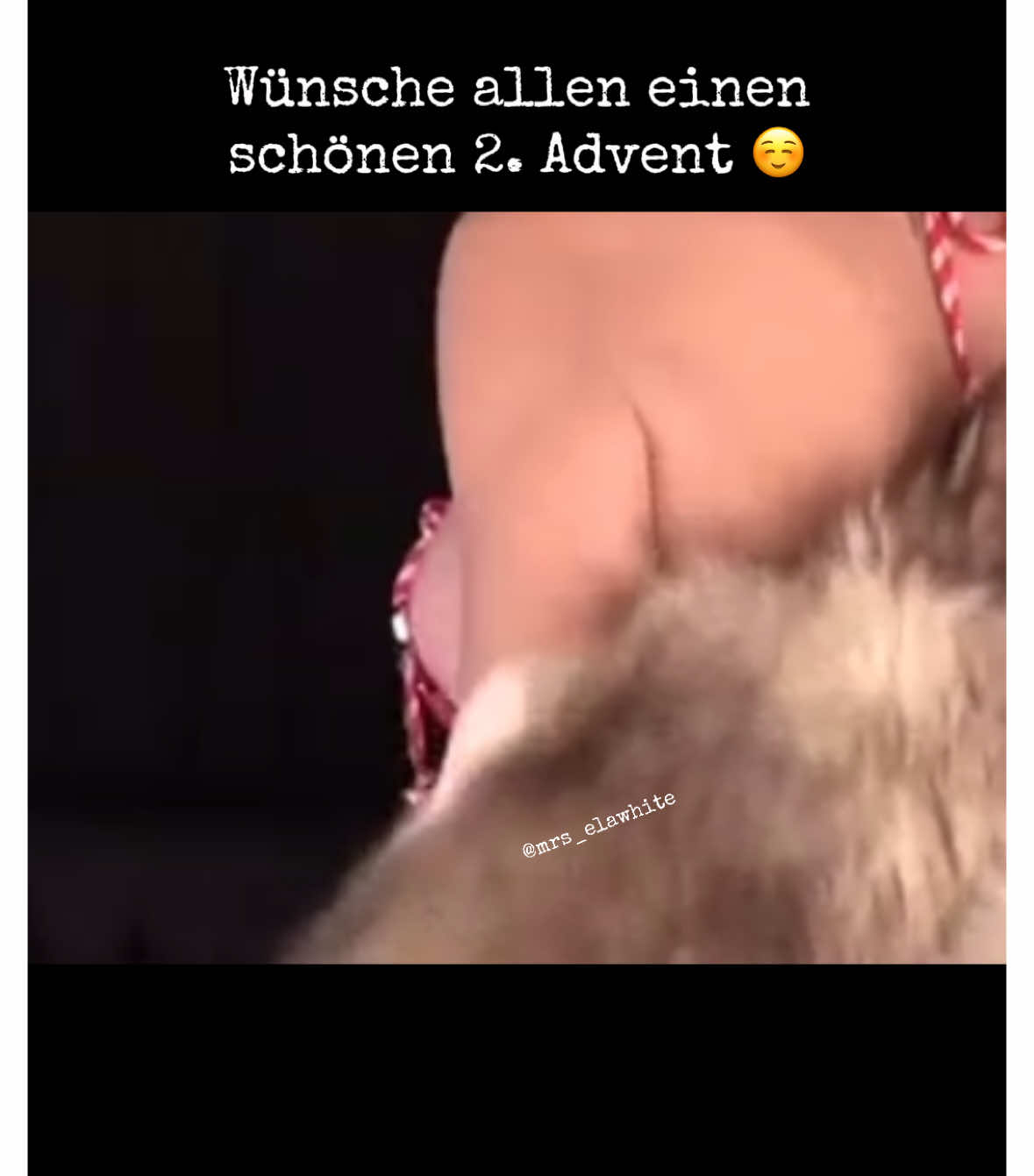 #advent #2advent #comedia #comedy_category_mu #lustig #theater #christmas #cancer #bell #funny #glocken #viral_video #funnytiktok #fyp #fyppp 