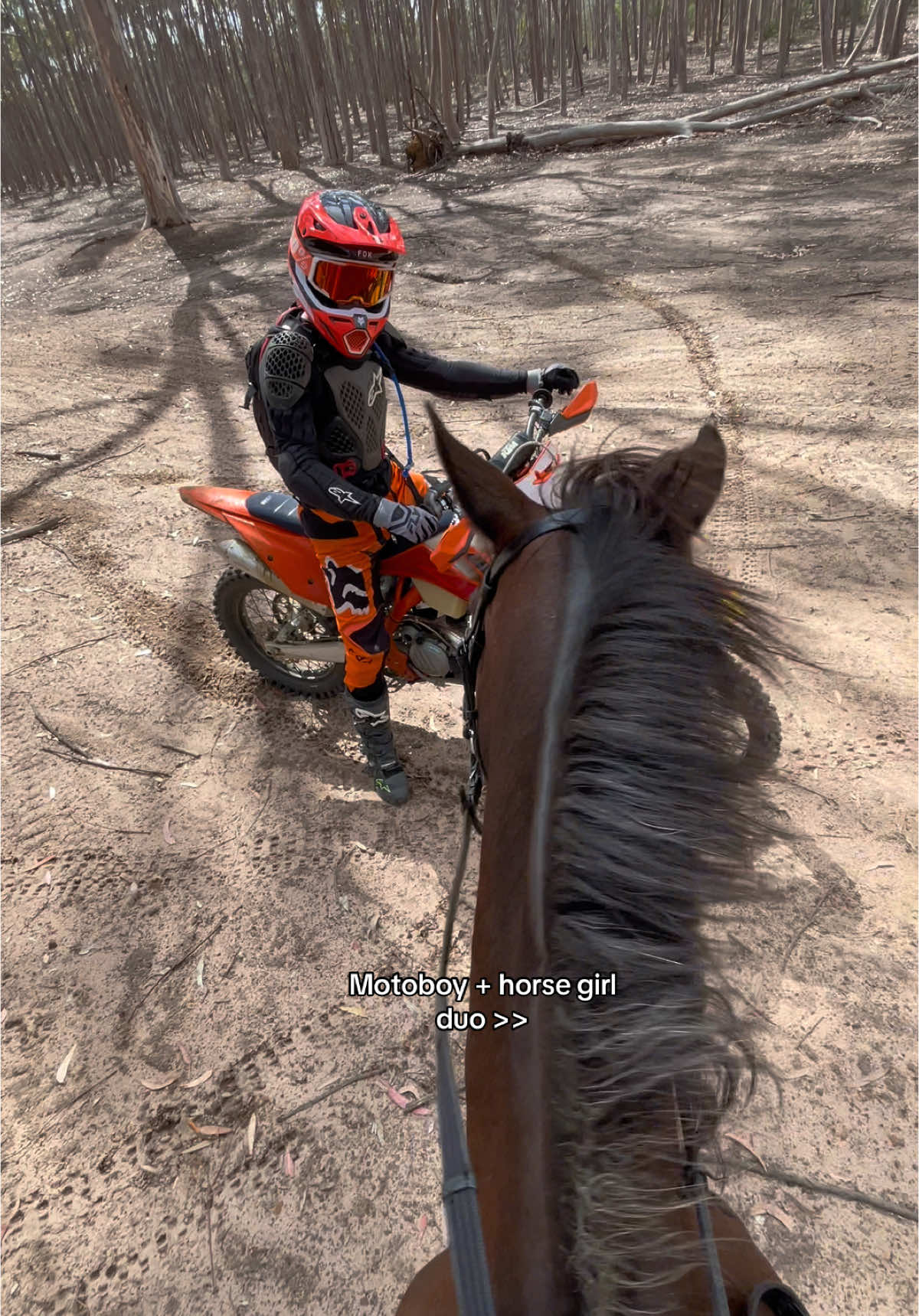 Powercouple fr #fyp #moto #equestrian #ktm #horses #dirtbike  #foryou @Lachlan 