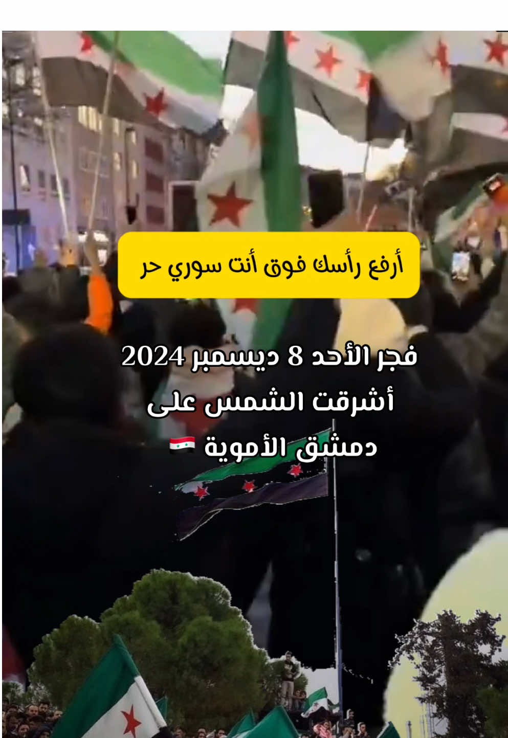 أرفع رأسك فوق أنت #سوري حر  وأشرقت الشمس على ⁧‫#دمشق ‬⁩الأموية 🇸🇾 فجر اليوم الأحد 8 ديسمبر 2024 #سوريا 