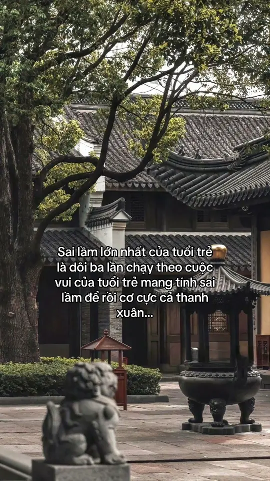 Sai lầm lớn nhất của tuổi trẻ là dôi ba lần chạy theo cuộc vui của tuổi trẻ mang tính sai lầm dể rồ cơ cực cả thanh xuân…