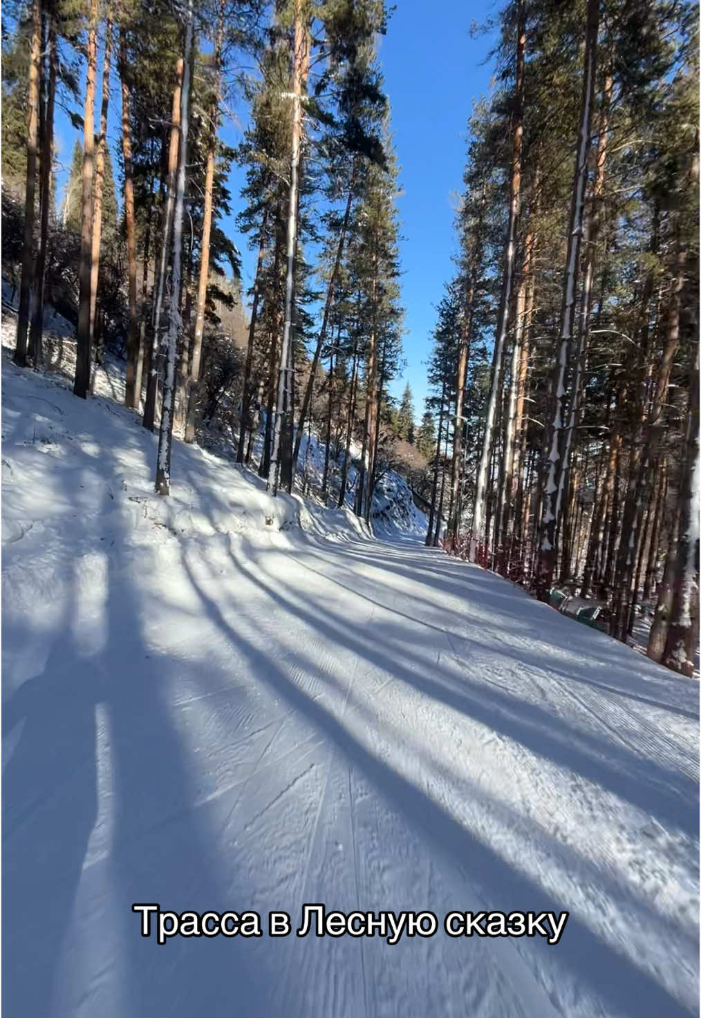 Лесная сказка  #сноуборд #сноубординг🏂 #flip #fly #sky #ойкарагай