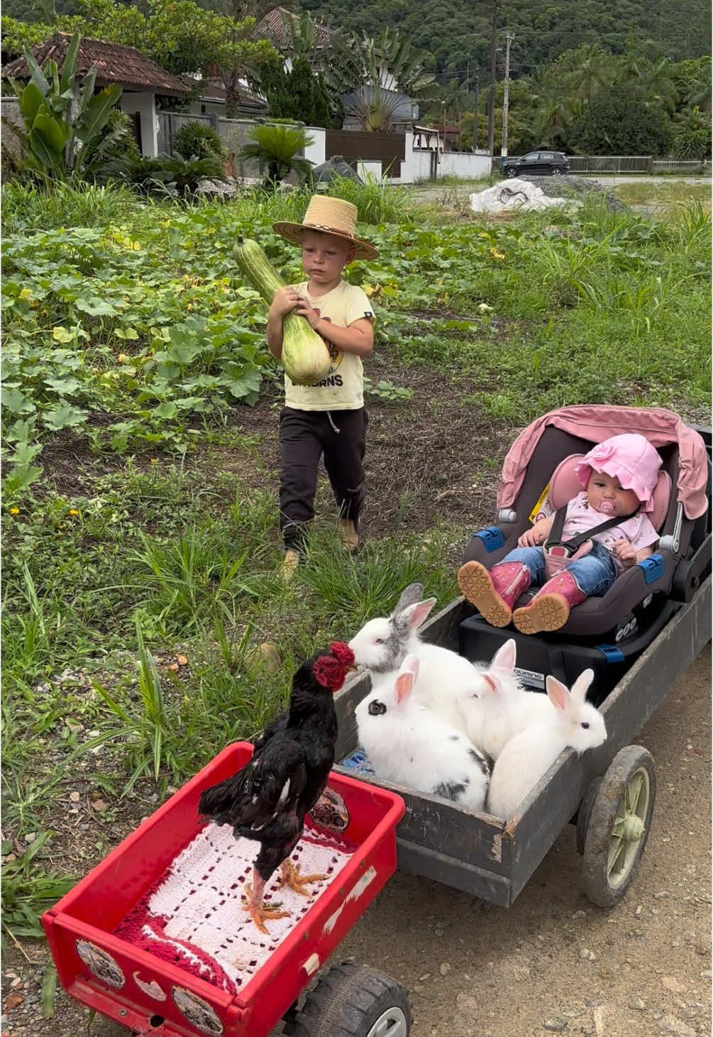 Agora a Campeiro tem uma perceira para acompanhar na roça 🧑🏼‍🌾👧😍❤️❤️❤️🙌🏻