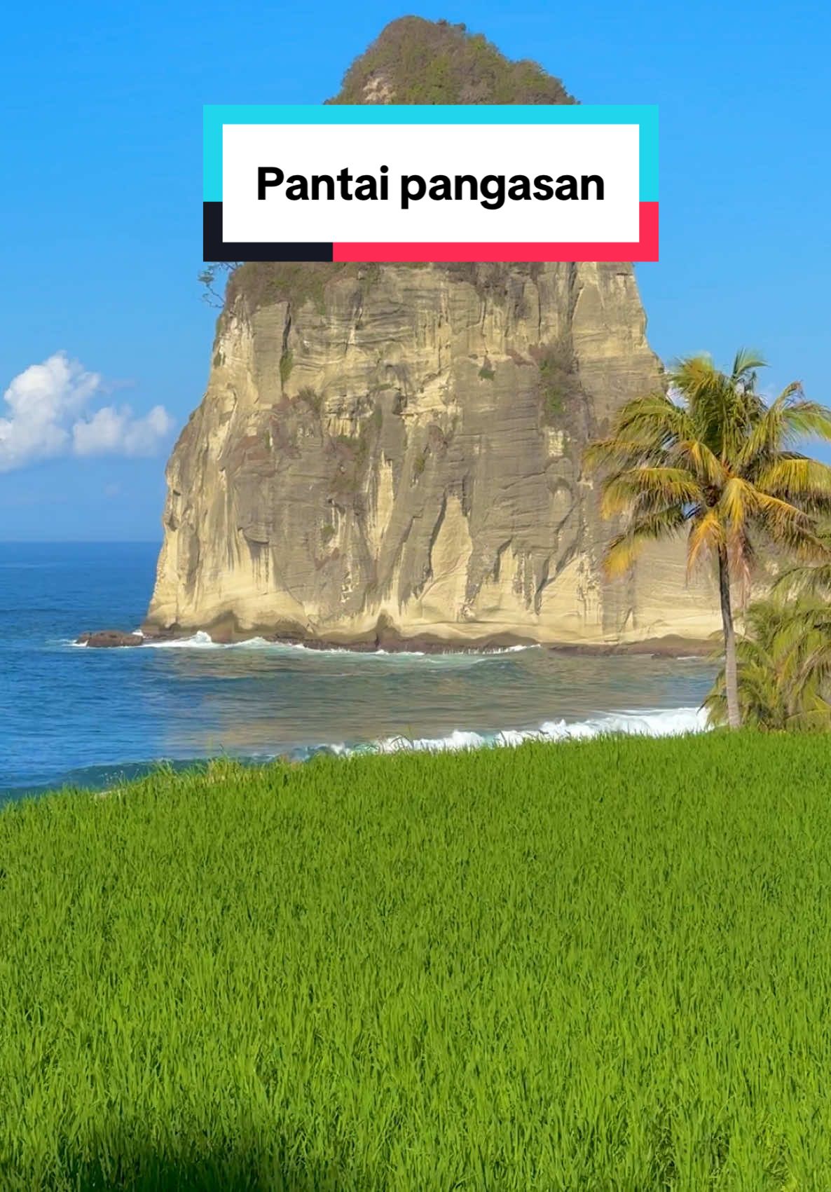 Pantai terindah dijawa timur . Ada yang pernah kesini'? . . . #aestheticvibes #mettosmile #fyp @Wonderful Indonesia @Pesona Indonesia @malieqmaul13 