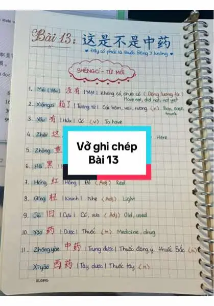 Học bài cùng Trann nha, vở ghi chép ngữ pháp bài 13 #hoctiengtrung_tuso0 #hoctiengtrung #trann #trannhocbai #trannđanghoc 