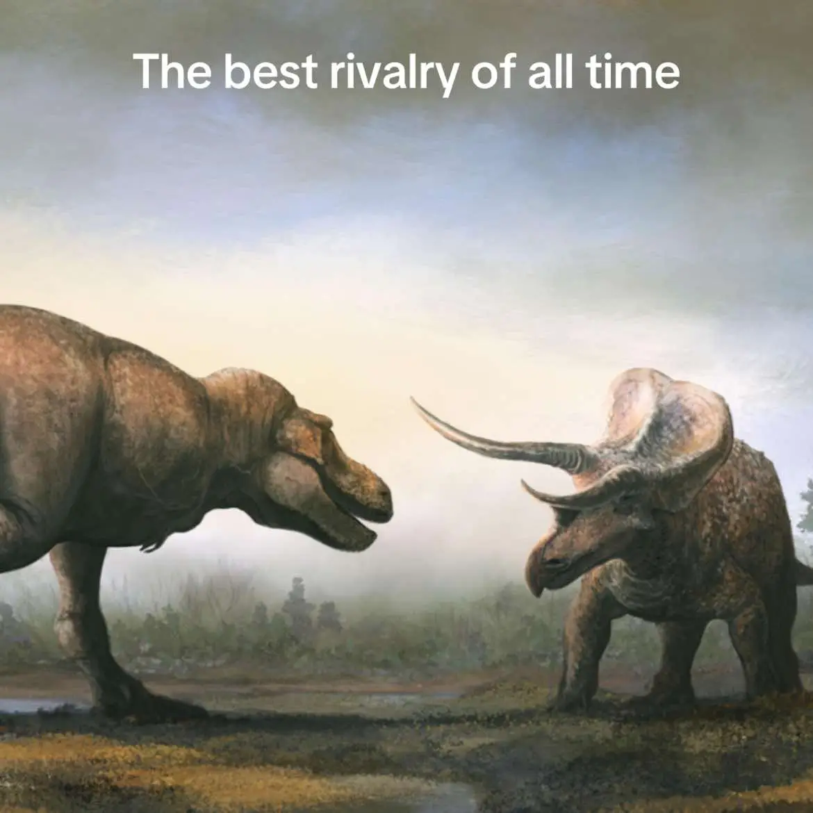 #trex #triceratops #fyp #dinosaur #dinosaurio #history #prehistoric #paleo #cretaceous #dinosaurs #paleoart #fypage #foryou #jurassicpark #jurassicworld #fyy #dinos 