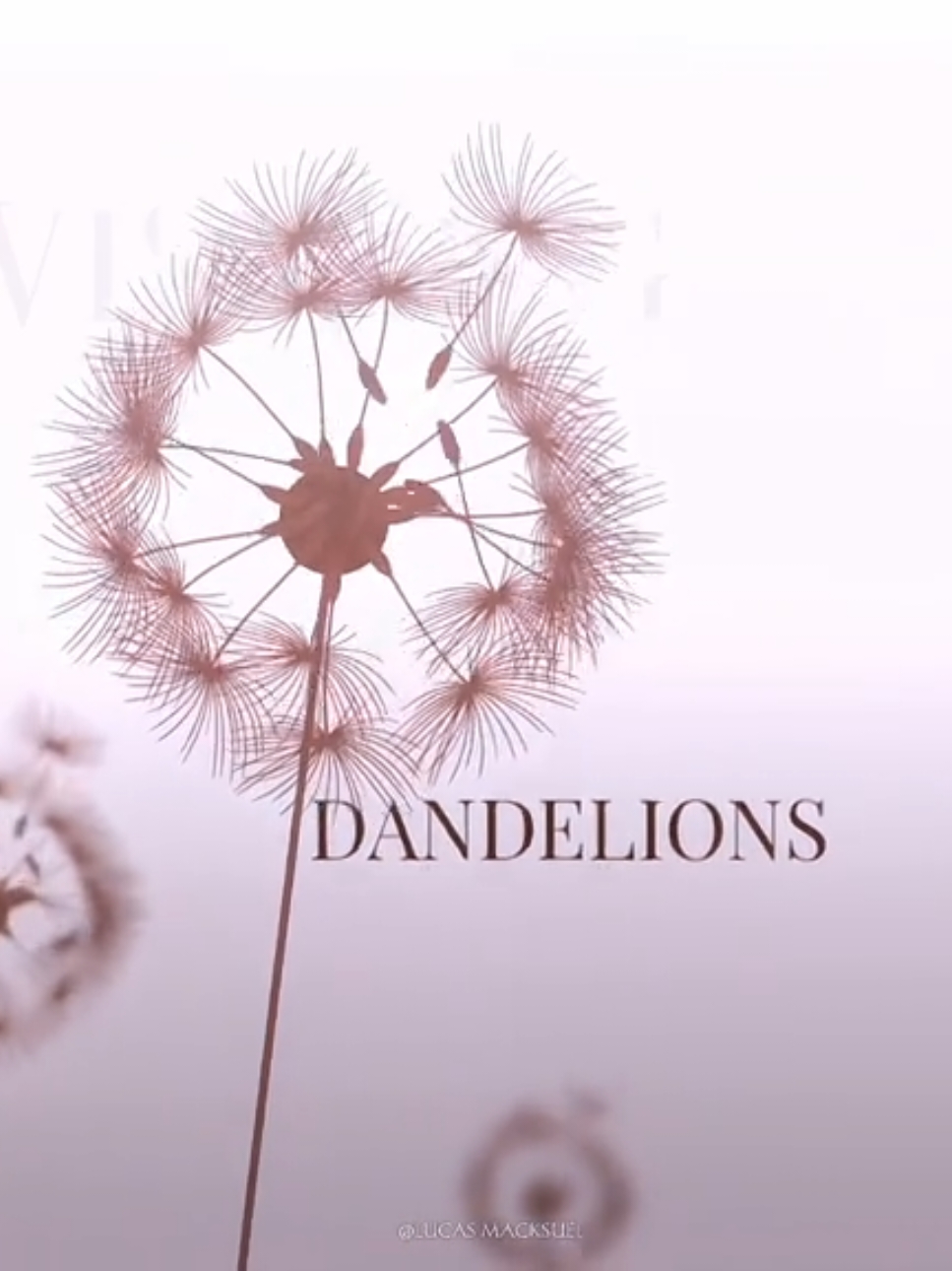 Dandelions - Ruth B. #dandelions #edit #ruthb #tipografia #4k #alightmotion_edit #tik_tok #foruyou #for #spotify 