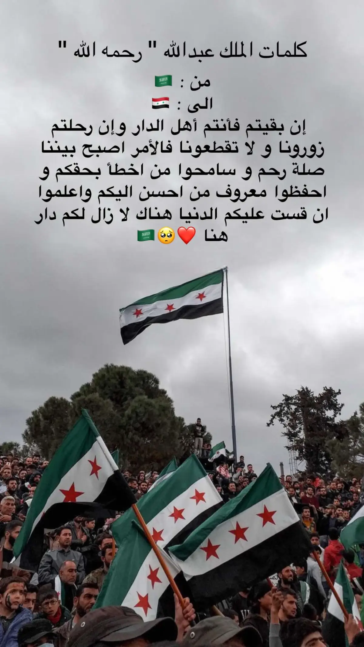 #سوريا🇸🇾 #سوريا_حرة #اكسبلورexplore #السعودية🇸🇦 #saudiarabia🇸🇦 