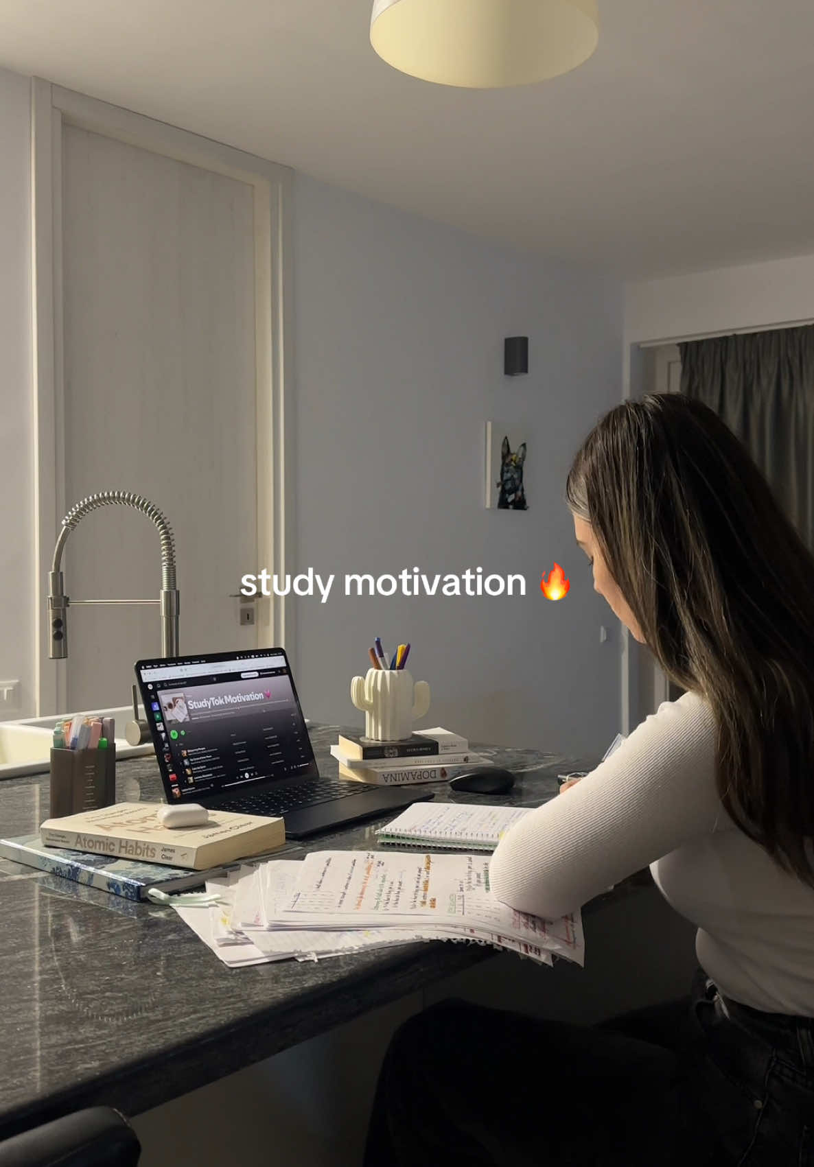 study study study motivation with me and my study playlist 📚📓📖👩🏻‍💻🎧✨🤍📝 #studytok #studymotivation #studying #motivation #studywithme #exam #study #studyroutine #inspiration #studymethods 