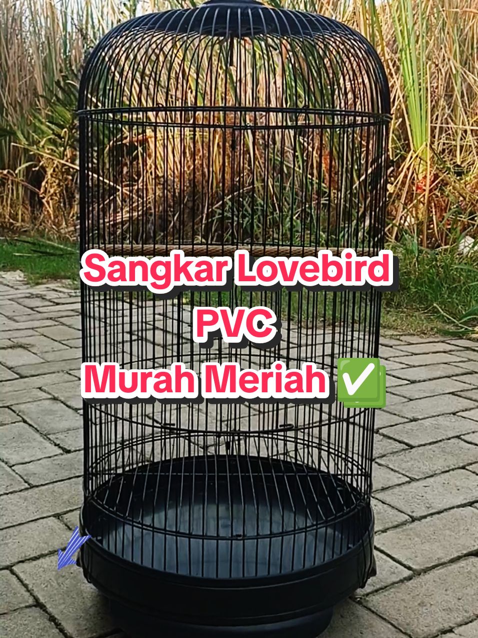 sangkar lovebird PVC nomer 1 . diameter 33 cm. #sangkarlovebird #sangkarburung #sangkarkapsul #sangkarbesi #sangkarlovebirdpvc #tebokpvc #sangkarburungmurah #sangkarlovebirdnomer1 #wibgajian #megaguncang1212 #promoguncang1212 #cuantanpabatas #gilagilajualan #diskontiktokshop #kicaumania 