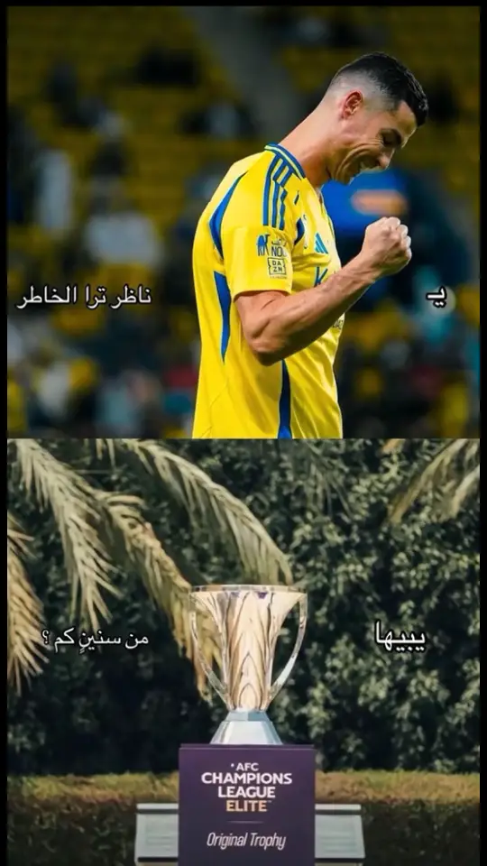 #النصر #اسيا #توكس_النصراوي💛