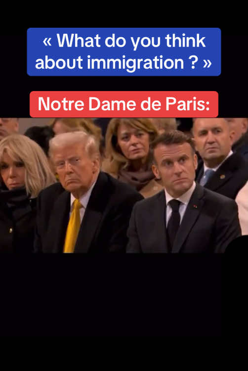 #notredamedeparis #macron #trump #sylt #auslander #gigidagostino #lamourtoujours #immigration 