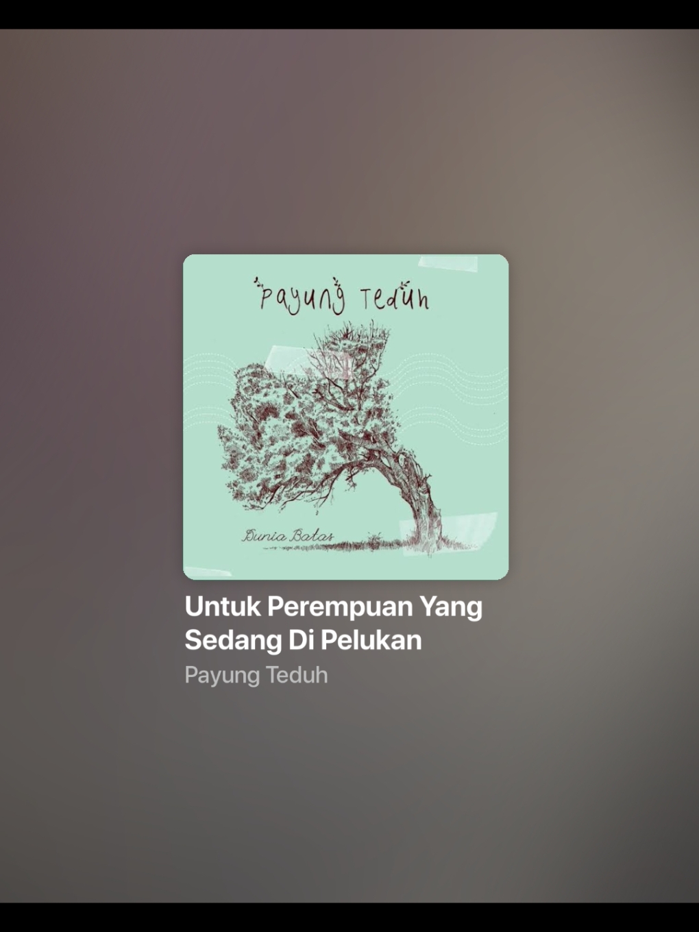 sedikit cemas, banyak rindunya. #untukperempuanyangsedangdalampelukan #payungteduh #lyrics #liriklagu #spotify #spotifylyrics #songlyrics #songviral #foryou #fyp 