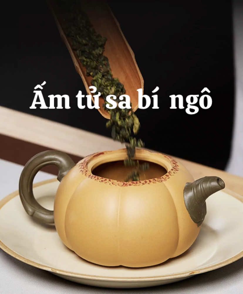 Ấm tử sa bí ngô #amtusa #trietlysong #cuocsongtinhlang #annhien #tradao #xuhuongphongtra #phongtra #xuhuong 