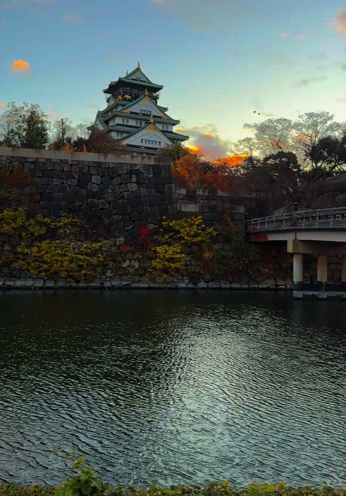 Osaka Castle（大阪城） 😍🇯🇵 #japan #srilanka #foryou #スリランカ🇱🇰日本🇯🇵 #japantravel #osakacastlejapan🏯 #japanslife🇯🇵 