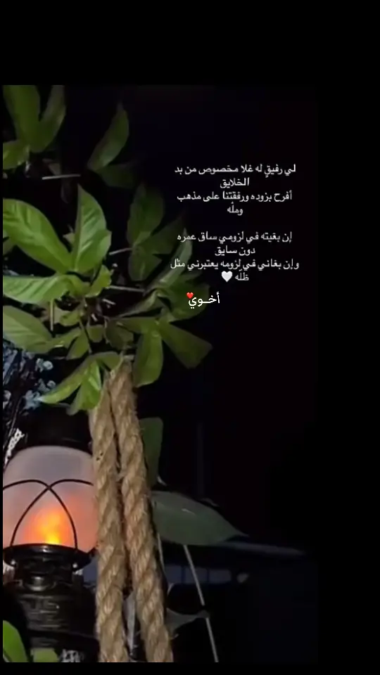 أخي بسمة حب في كل الفصول وزهرة أمـان لي في الحقول##🌹 