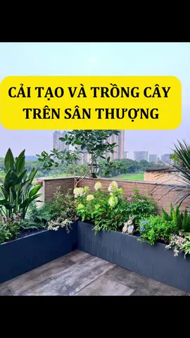 cải tạo lại ban công trên sân thượng nhà bạn #trangtribancong #tieucanhmini #tieucanhsanvuon #bancong #chaucomposite #caycanh #caycanhmini #caycanhsanvuon #tieucanhmi #bancongdep #tieucanh #decorbancong #chaucanh #caycanhdep #caitaobancong #tuongcay #xhuong #xh