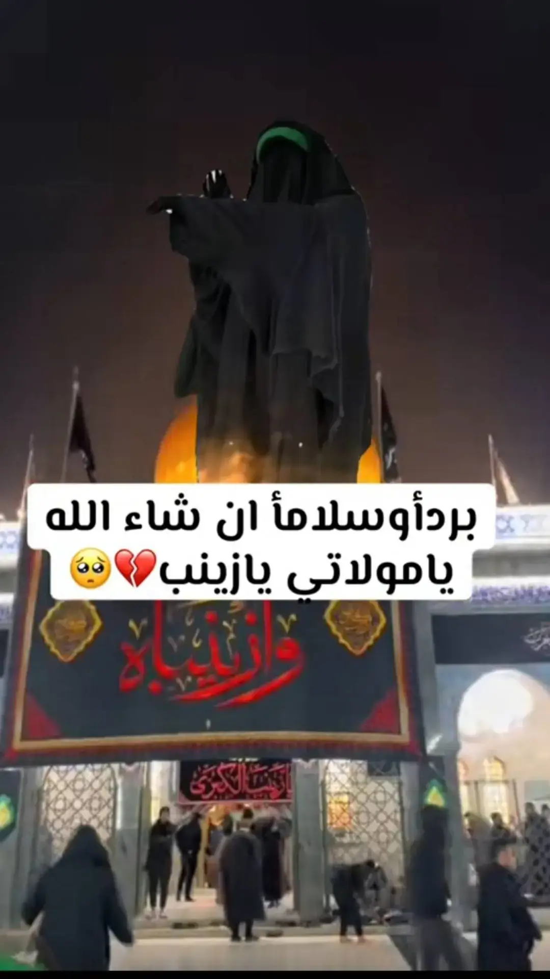 امانه الله محمد يا زينب #