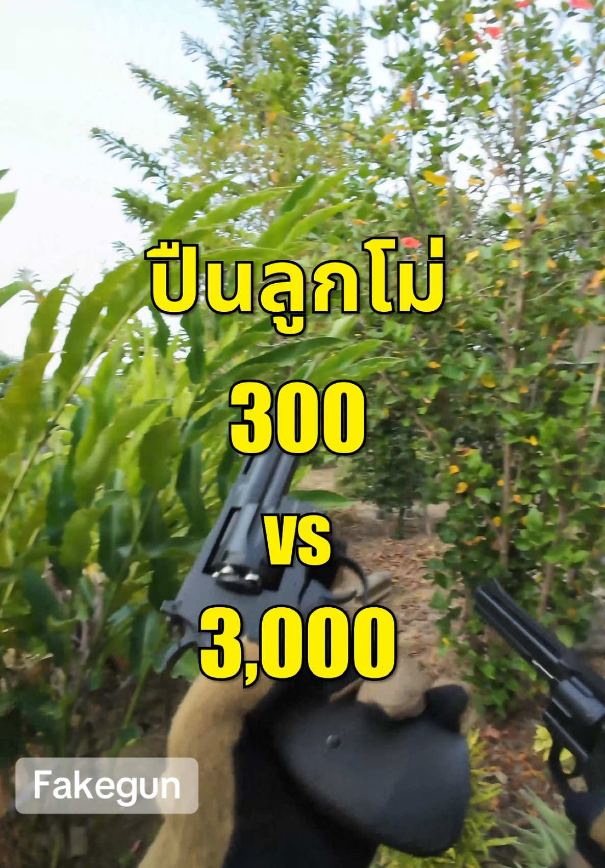 ลูกโม่ 300 vs 3000