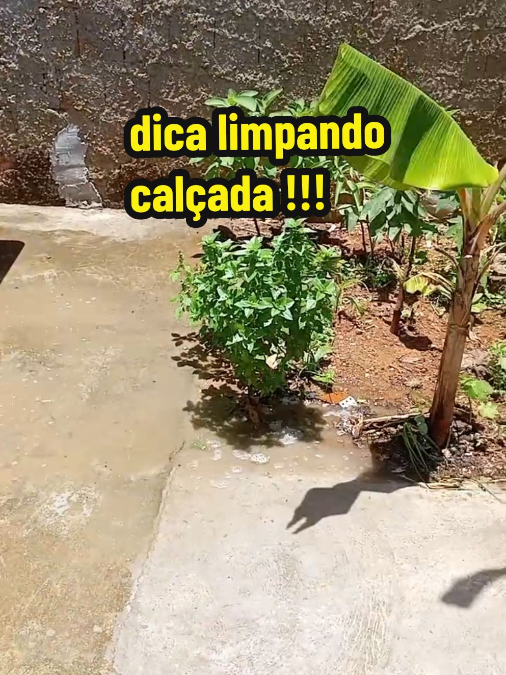 #dica limpando calçada #foryou #fpyシ #viral 