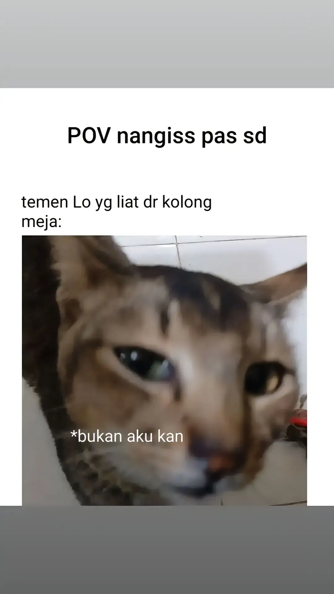 pake nanya😹 #masukberanda #meme #fypp 