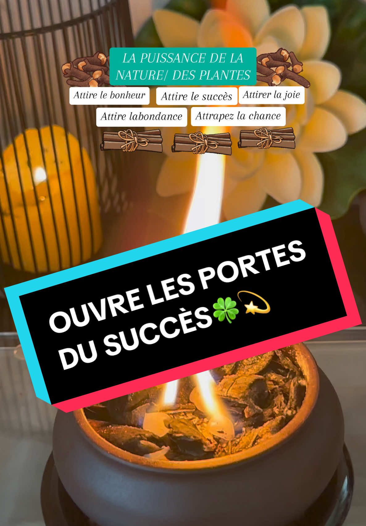 Attirer l'abondance avec le clou de girofle #abondance #change #etatsunis #lucky #nature #pt #poutoi #fyp #f #naturel #astuce #voeux #argent #envoutement #blocage #spirituel #abondance #purification #bain #attirance #drakafelix🍀 #cinnamon #clove