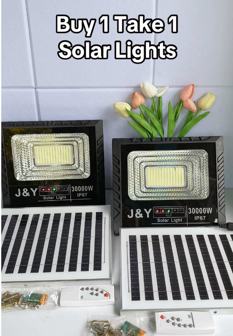 Buy 1 Take 1 Solar lights! #solarlights 