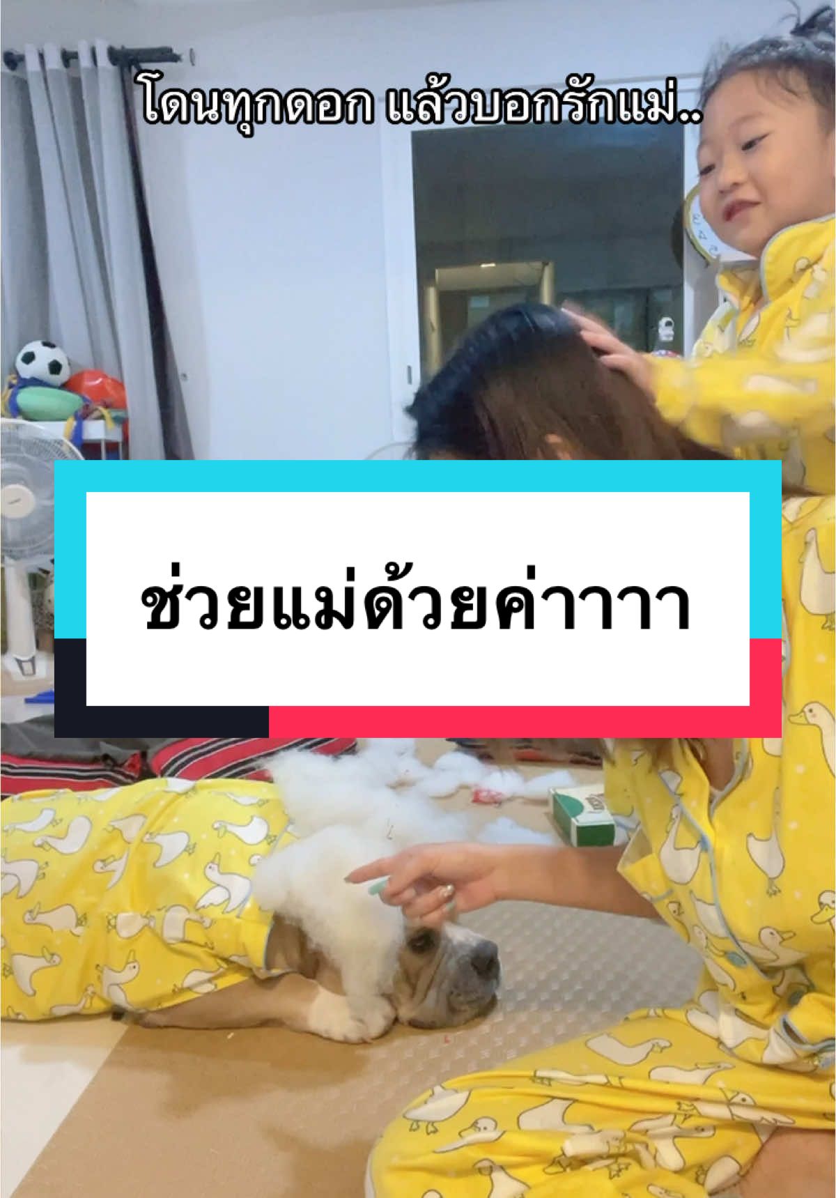 ช่วยแม่ด้วยค่าาาา 😂 @แม่ฝนของคิงโจ | 313.5K 🌥️  @แม่ฝนของคิงโจ | 313.5K 🌥️  @แม่ฝนของคิงโจ | 313.5K 🌥️  #แม่ฝนของคิงโจ #คิงโจ #kingjoe #woodaon #ลูกครึ่งไทยเกาหลี #อภิชาตบุตรของแม่ฝน #ลาออกจากงานมาเลี้ยงหมา #บ้านฉัน #อเมริกันบูลลี่ 