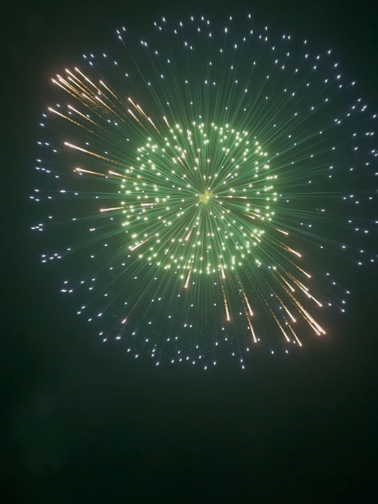 Huge Firework Bombs!🤯💥 #fireworks #firework #feuerwerk #fuegosartificiales #pyro #pyrography #fireworkshell #newyearseve #silvester #2025 #fireworkshow #vuurwerk #fyp #foryou 