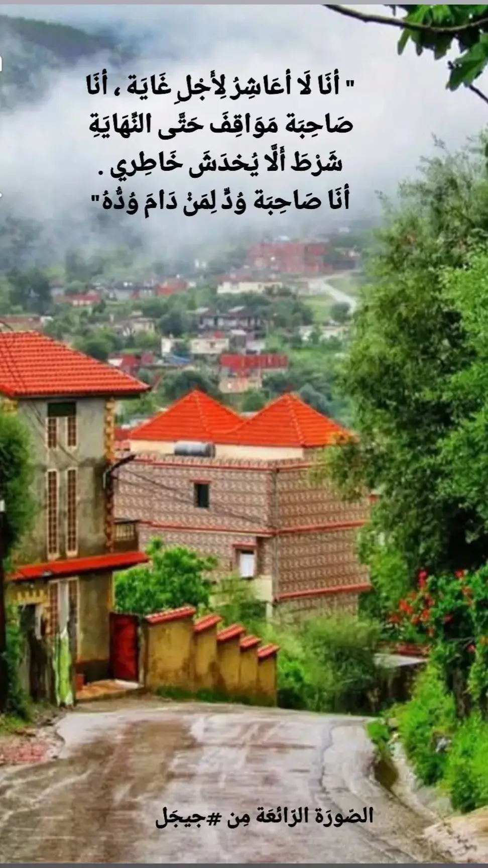 #أمسِية_سَعيدَة_للجَميع🥰💫☘️
