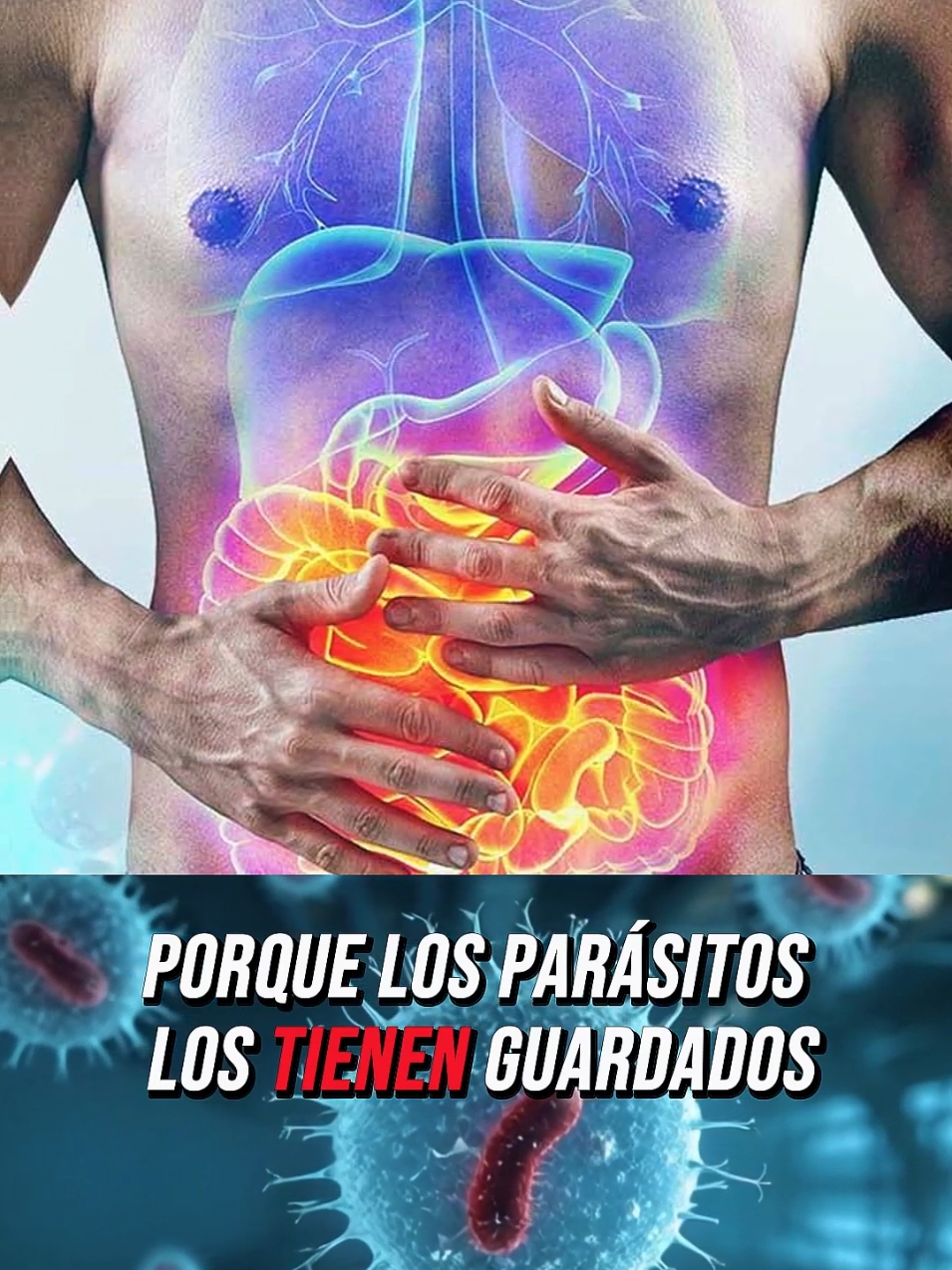 Realizar un desparasitada con diferentes desparasitante hace la diferencia, si quieres más Info sobre un producto que atraviesa todas las barreras de cuerpo Síguenos