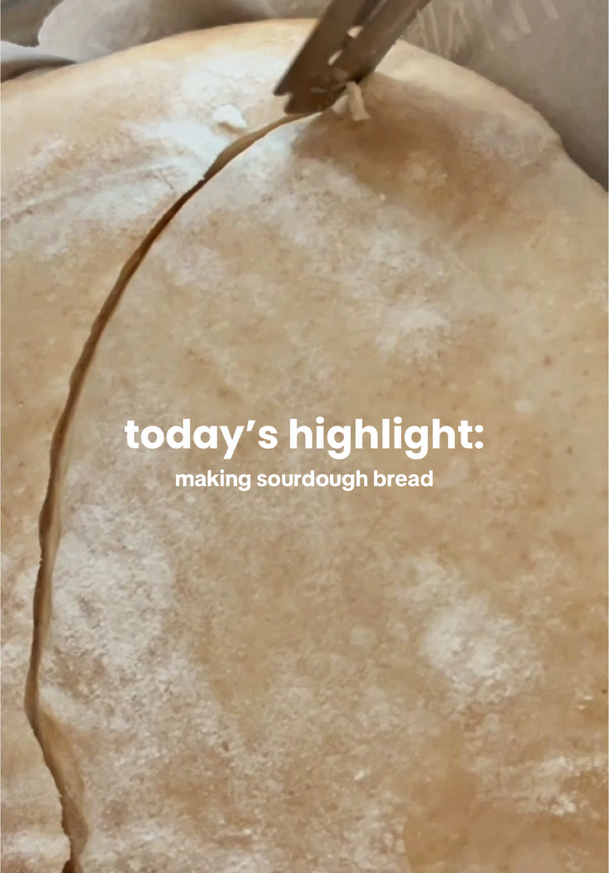 making bread on sundays is my actual favorite 😍  #dailylifestyle #dailygratitude #decemberdailygratitude #Vlogmas #sourdough #sourdoughstarter #sundayreset #sundayroutine #Lifestyle #Vlog #highlights #gratitude #dailylifestyleuk