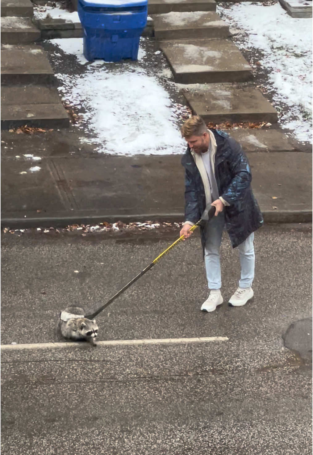 Stick handling is more than just moving the puck; it's about controlling it in a way that maximizes your options and minimizes the opponent's chances to intercept. #stickhandling #dangling #hockey #raccoon #the6ix 