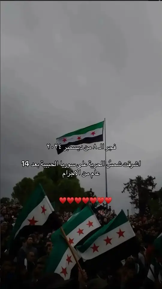 سوريا#سوريا🇸🇾 #حر#ترند 