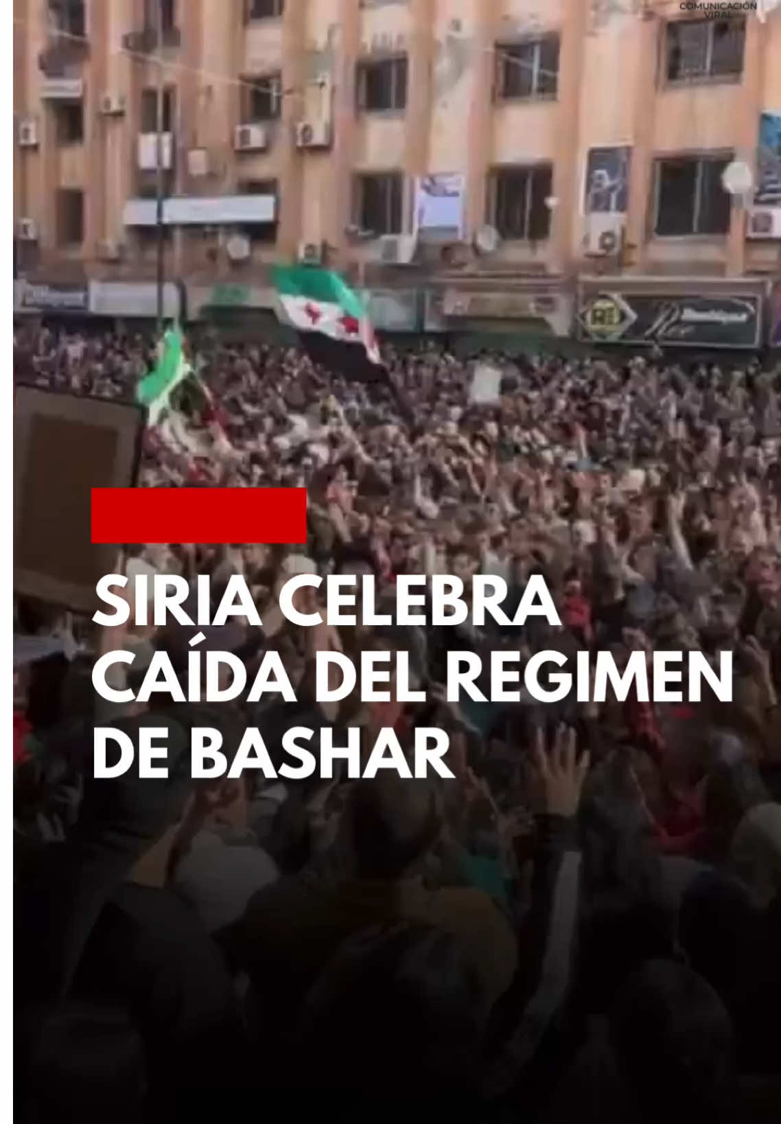 🎉🎇 Vítores, disparos al aire y esperanza en las calles: los sirios celebran la caída del régimen de la familia Assad tras décadas de control. Síguenos para mantenerte informado 🔴 #Siria #CambioDePoder #FamiliaAssad #NoticiasInternacionales #ComunicacionViral 