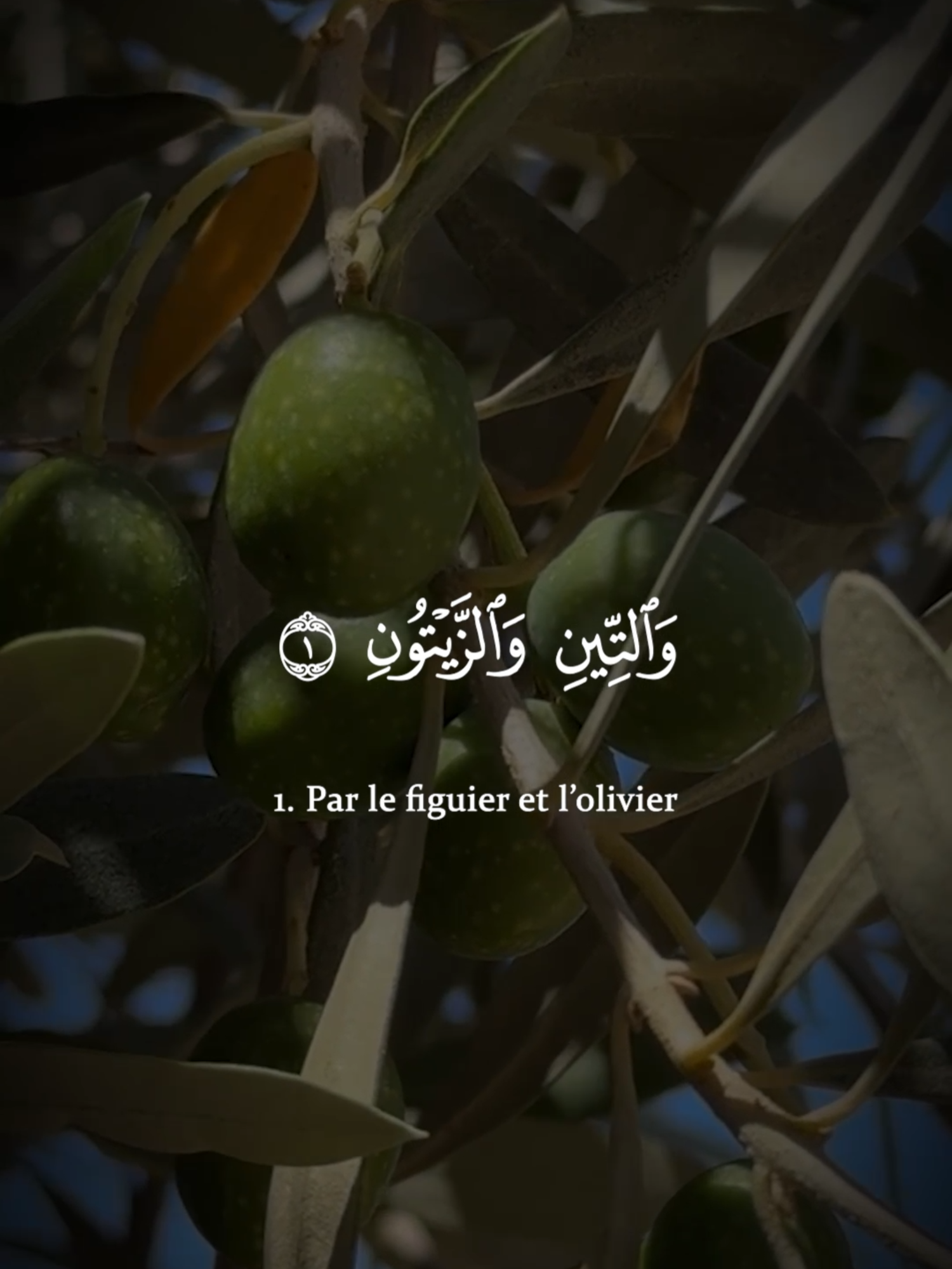 Sourate At Tin #islam #recitationcoran #coran #sourate