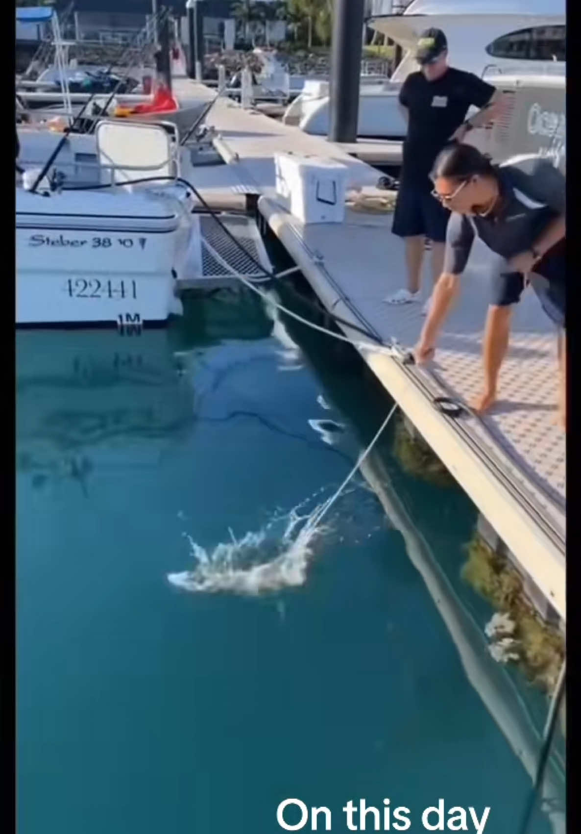 #onthisday #fy #fypシ゚viral #fish #fishing #fishinglife #topwaterfishing #explore #explorepage #اكسبلور 