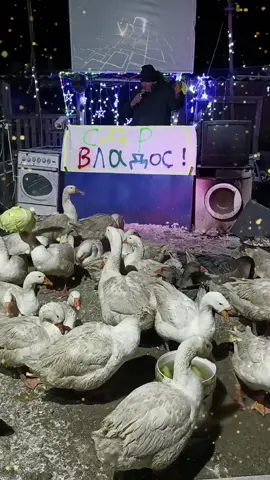 с днём рождения Владос #топчик🔥 #деньрождения #рекомендации 