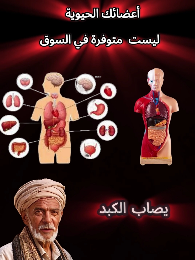 هل تعلم أن الكبد يمكن أن يصاب بالصدمة بسبب الأطعمة المقلية؟ Saviez-vous que votre foie peut être choqué par une mauvaise alimentation ? #صحة #العناية_بالجسم #الوقاية_خير_من_العلاج #حافظ_على_صحتك #نمط_حياة_صحي #Santé #BienÊtre #HabitudesSaines #VieSaine #PrenezSoinDeVous #صحتك_ثروتك #معلومات_مفيدة #حافظ_على_جسمك #نمط_حياة_صحي #تيك_توك_تثقيفي #عادات_صحية #NutritionÉquilibrée #BoireDeLEau #ÉviterLesSucres #VieActive helath